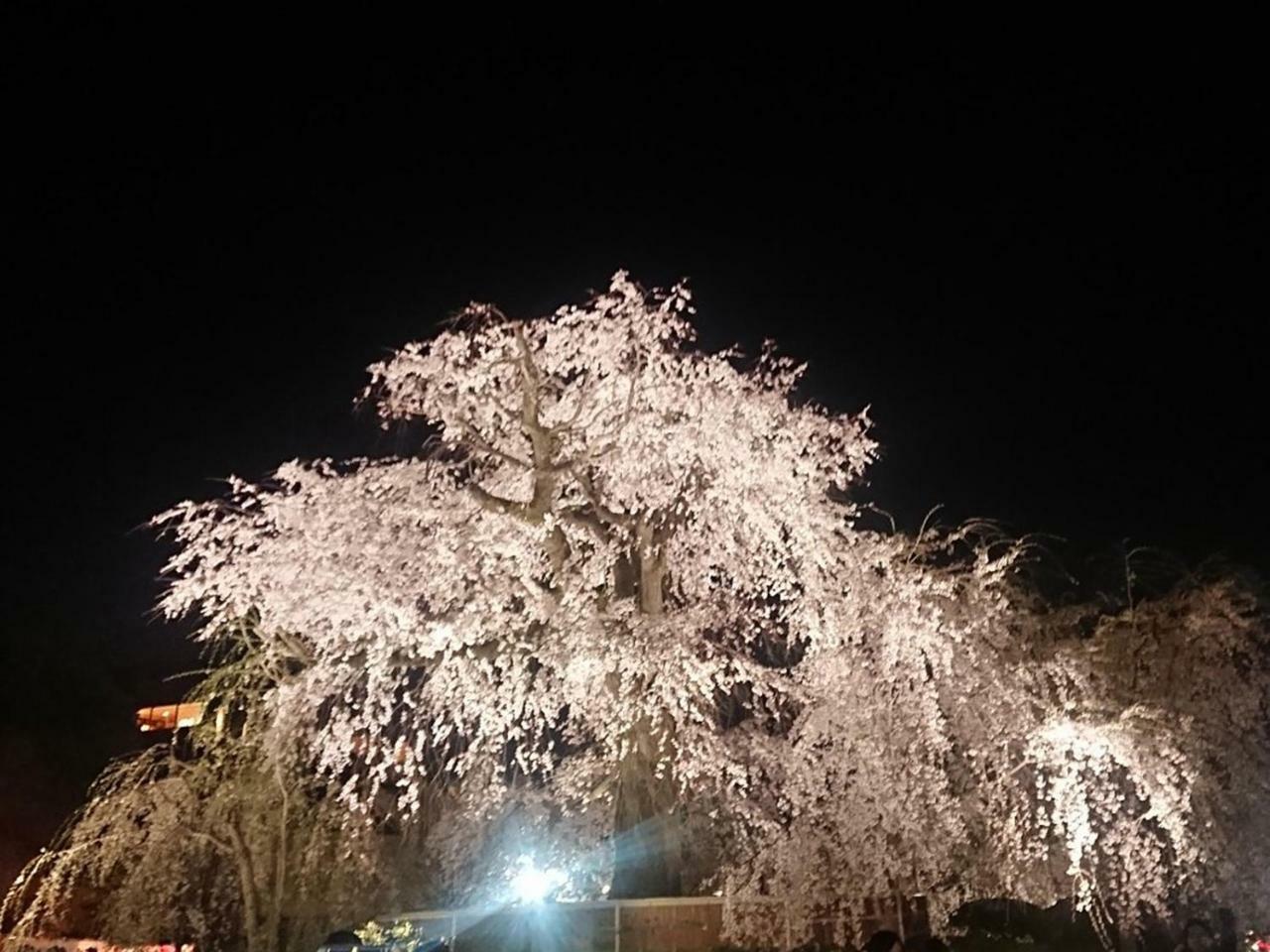 ホステル京都嵐山 Muko エクステリア 写真