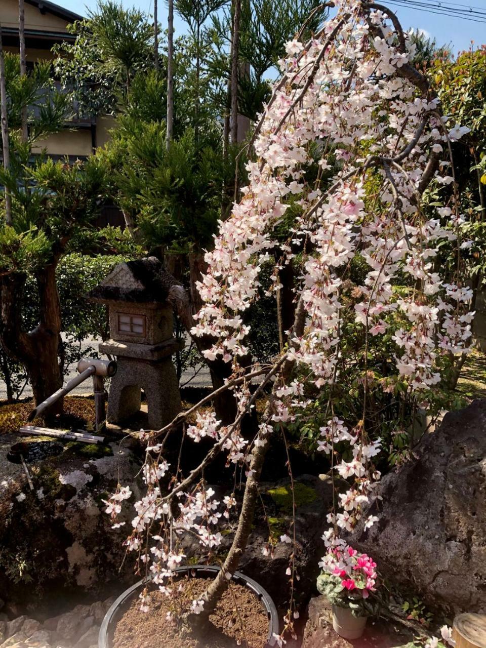 ホステル京都嵐山 Muko エクステリア 写真