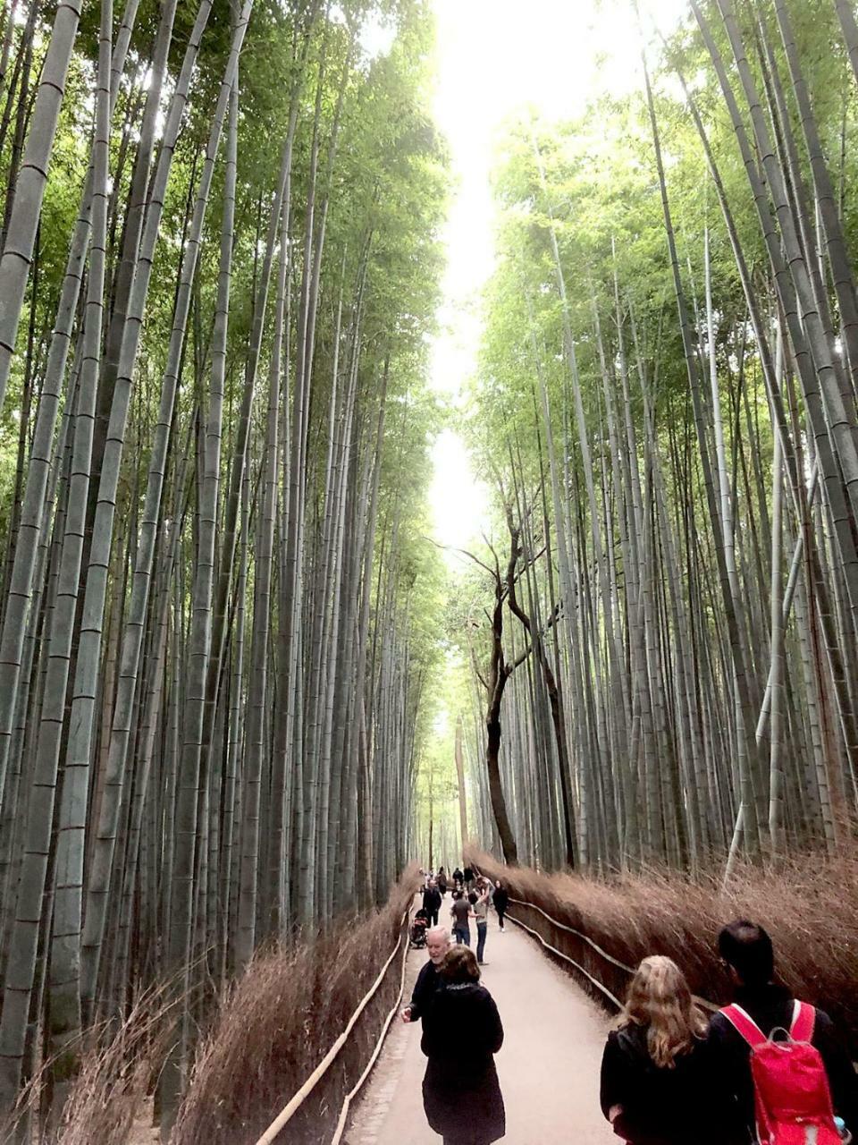 ホステル京都嵐山 Muko エクステリア 写真